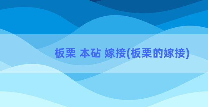 板栗 本砧 嫁接(板栗的嫁接)